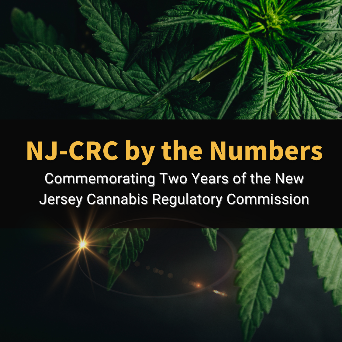 NJ-CRC by the Numbers
